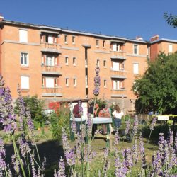 Visite de la cité-jardin de Stains