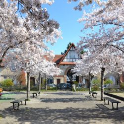 Journées européennes du patrimoine : La Cité-jardin Lorraine-Dietrich