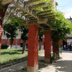 Balade urbaine : la cité-jardins de Suresnes