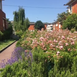 Visite de la cité-jardins de Champigny-sur-Marne