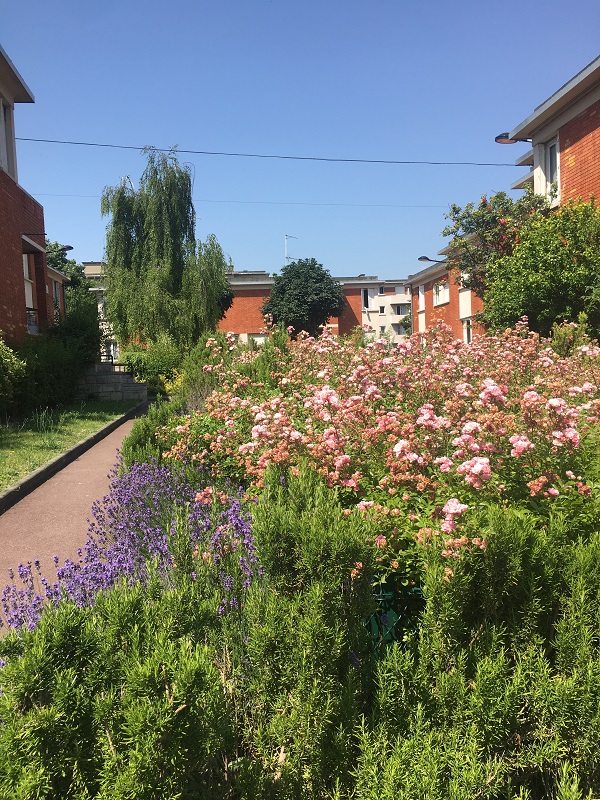 Visite de la cité-jardins de Champigny-sur-Marne