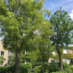 Festival Les cités-jardins en automne / La cité-jardins du Pré en famille