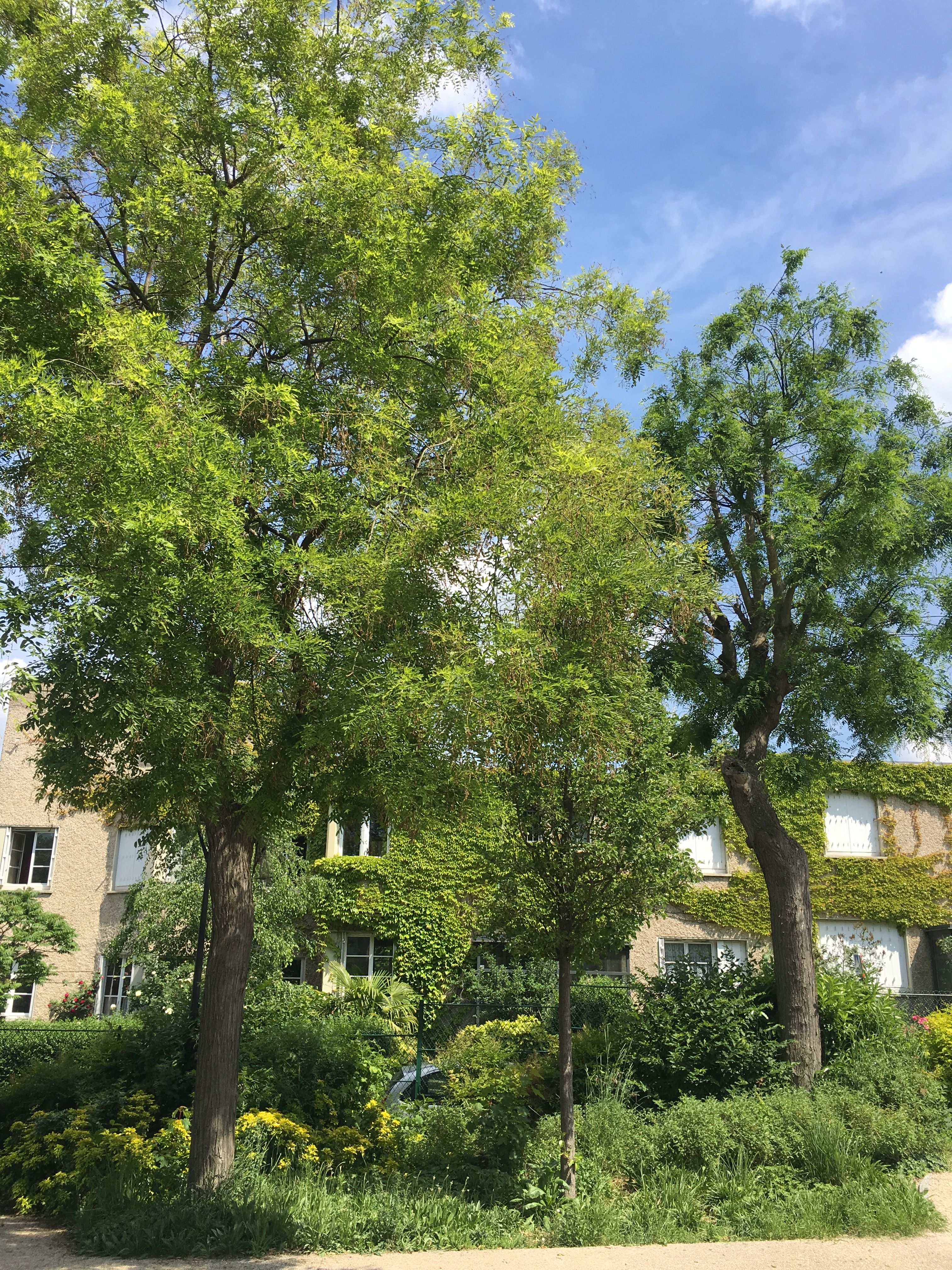 Festival Les cités-jardins en automne / La cité-jardins du Pré en famille