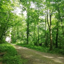 Le Parc de la Poudrerie de Sevran - Conférence virtuelle