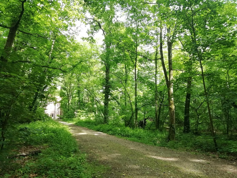 Le Parc de la Poudrerie de Sevran – Conférence virtuelle