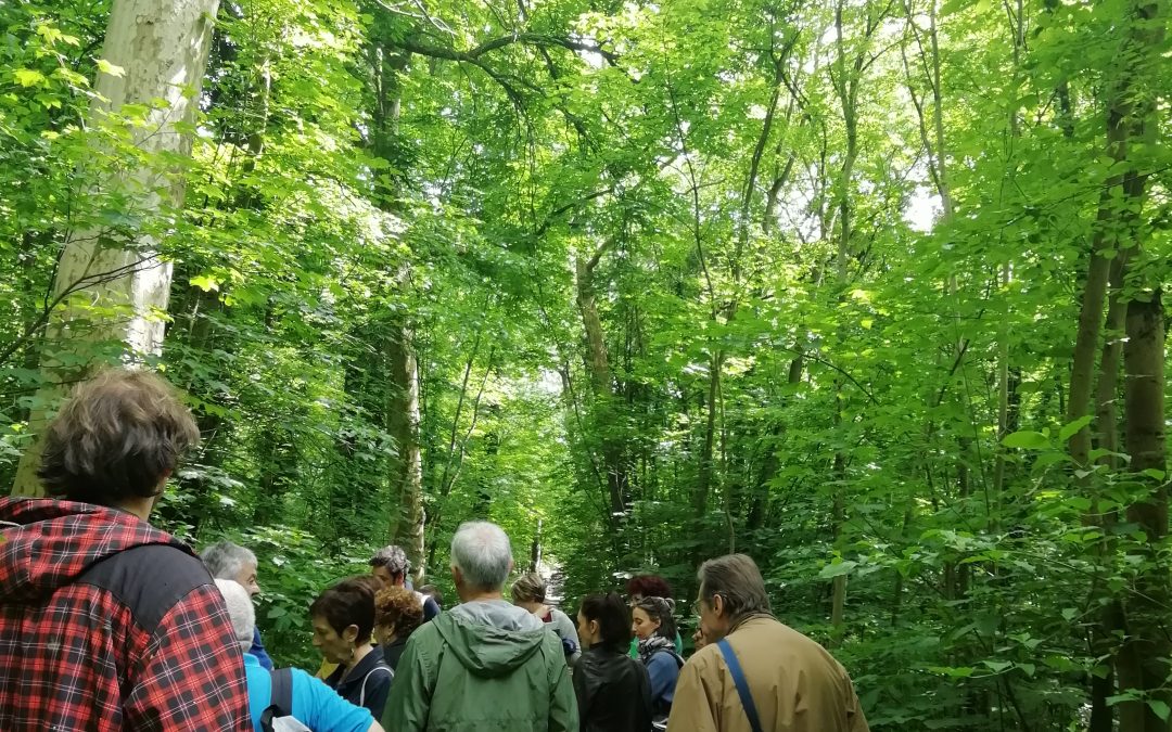 Festival Les cités-jardins en automne / La Poudrerie : un parc et une cité-jardin