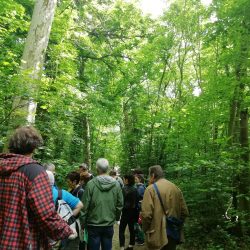 Festival Les cités-jardins en automne / La Poudrerie : un parc et une cité-jardin