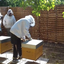 Atelier d'apiculture / Cité-jardin de Stains