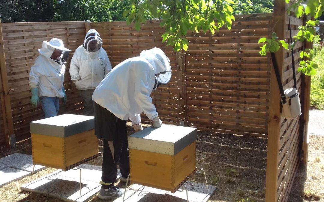 Atelier d’apiculture / Cité-jardin de Stains