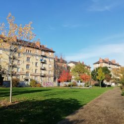 Festivités au jardin : Jeux d'hier à aujourd'hui