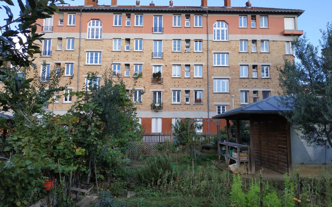 Visite de la cité-jardin de Suresnes