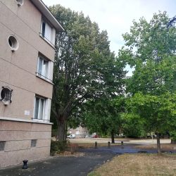 Jeux d’hier et d’aujourd’hui | Printemps des cités-jardins 2024