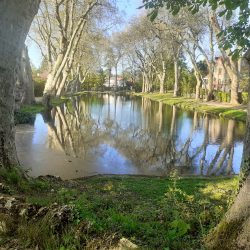 Printemps des cités-jardins - Visite de Paris-Jardins (Draveil)