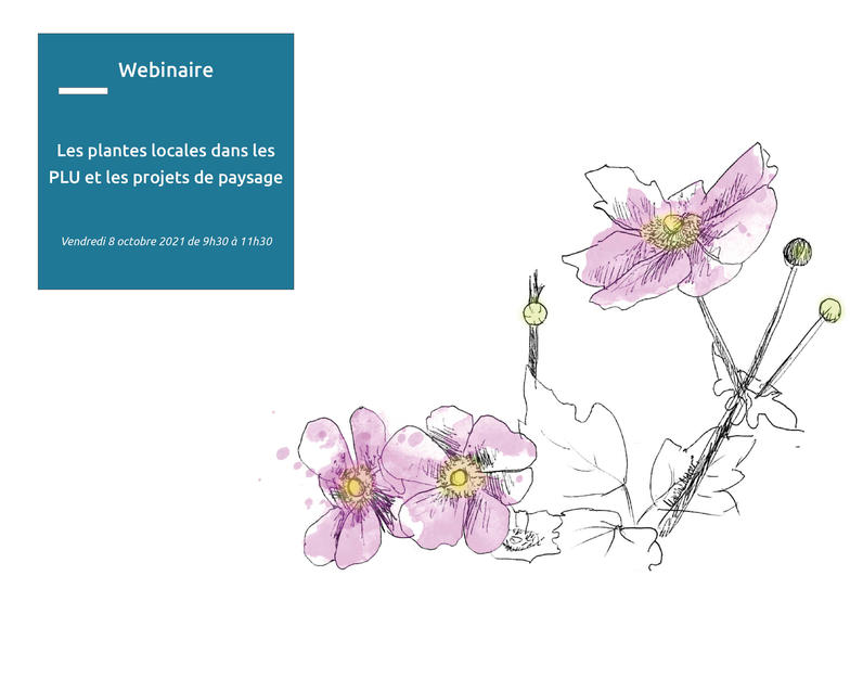 Webinaire – Les plantes locales dans les PLU et les projets de paysage