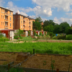 Visite - La réhabilitation de la cité-jardin de Stains