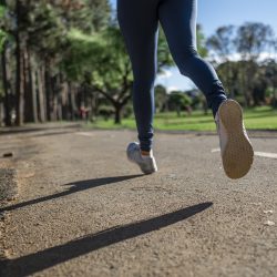 Parcours santé dans la cité-jardin de Stains