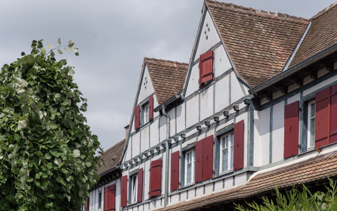 Ma cité est un jardin : Le Stockfeld