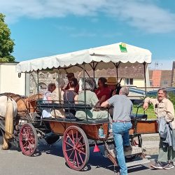 En calèche de la cité-jardin à tour de Cesson | Printemps des cités-jardins 2024