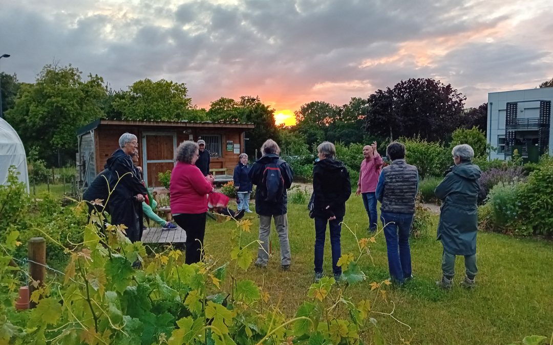 Rallye dans la cité-jardin | Printemps des cités-jardins 2024