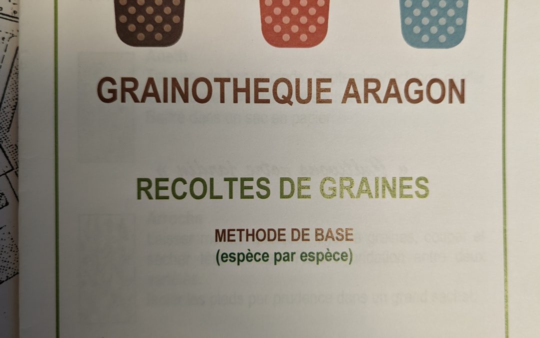 Grainothèque Aragon – Récolte de graines
