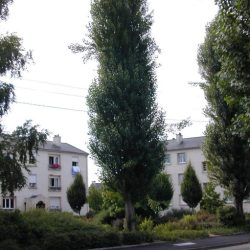 Journées européennes du patrimoine : Rallye au cœur de la cité des cheminots Sainte-Thérèse, Rennes