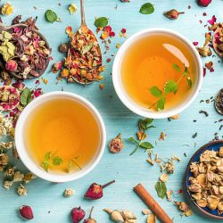 Atelier - Tisane détox de Printemps