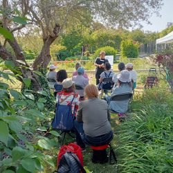 Cités-jardins et espaces naturels dans le nord de Plaine Commune | Printemps des cités-jardins 2024