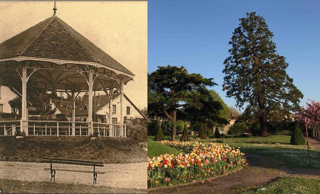 Les habitants racontent leur cité-jardin | Printemps des cités-jardins 2024