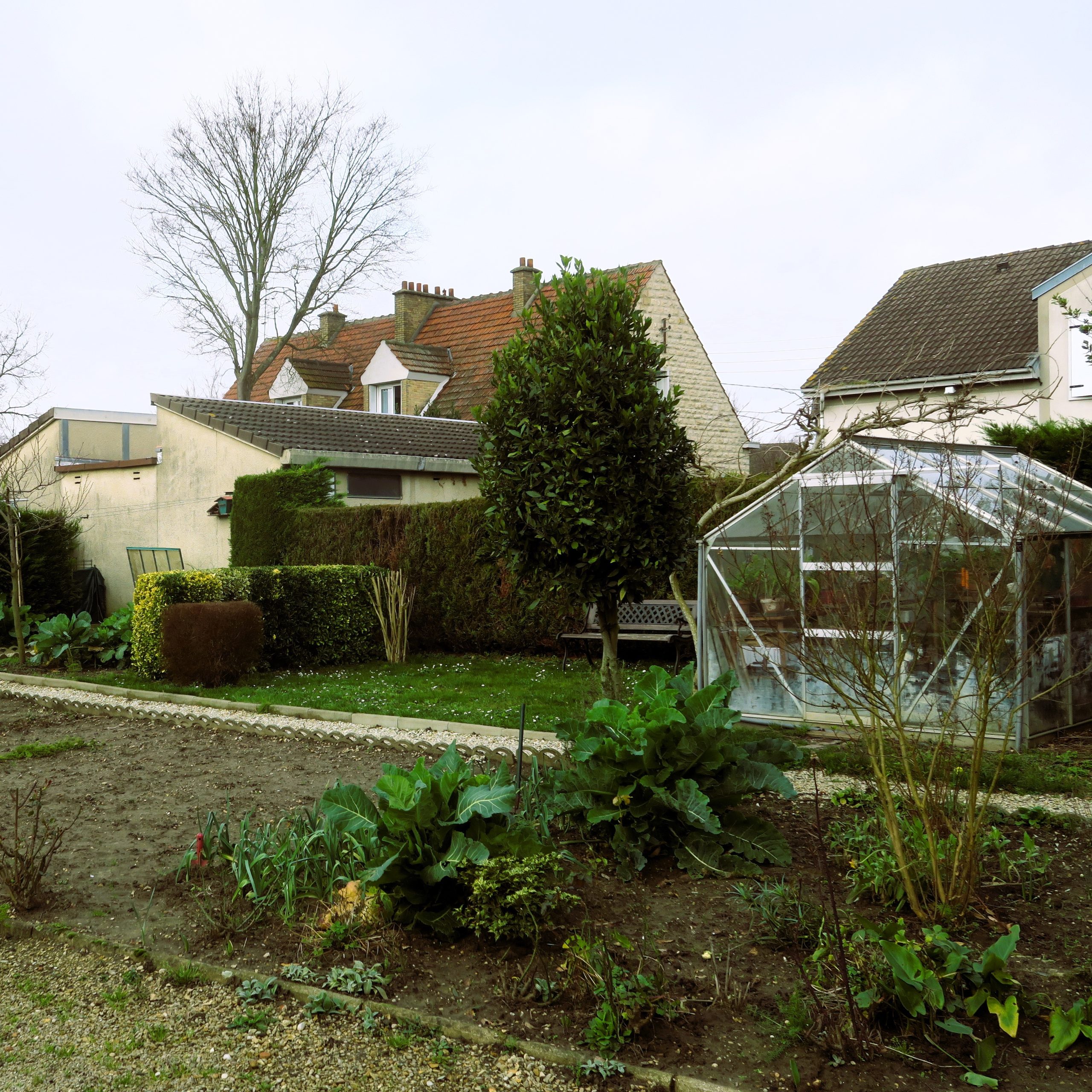 Découverte d'une Pépinière de quartier