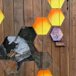 Fêtes Solidaires : Fabrication de bougies en cire d'abeille