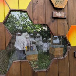 Ateliers biodiversité