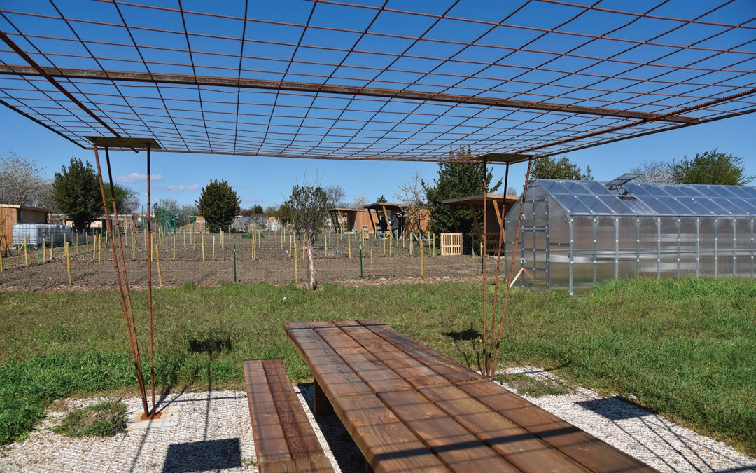 Ciné-jardin – Cinéma en plein air et découverte des jardins partagés