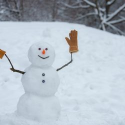 Fêtes solidaires : Création de cartes de vœux pop up