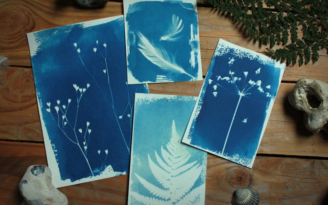 Atelier artistique : technique du cyanotype