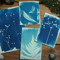 Atelier artistique : technique du cyanotype