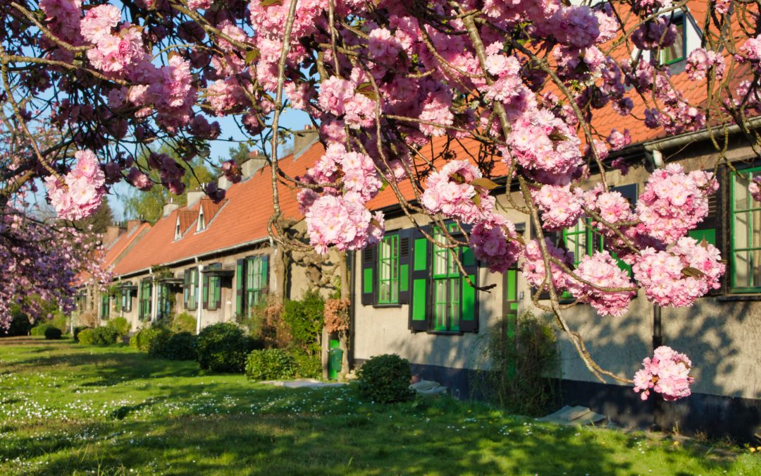 Visite des cités-jardins Le Logis et Floréal à Bruxelles (Belgique)