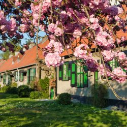 Visite des cités-jardins Le Logis et Floréal à Bruxelles (Belgique)