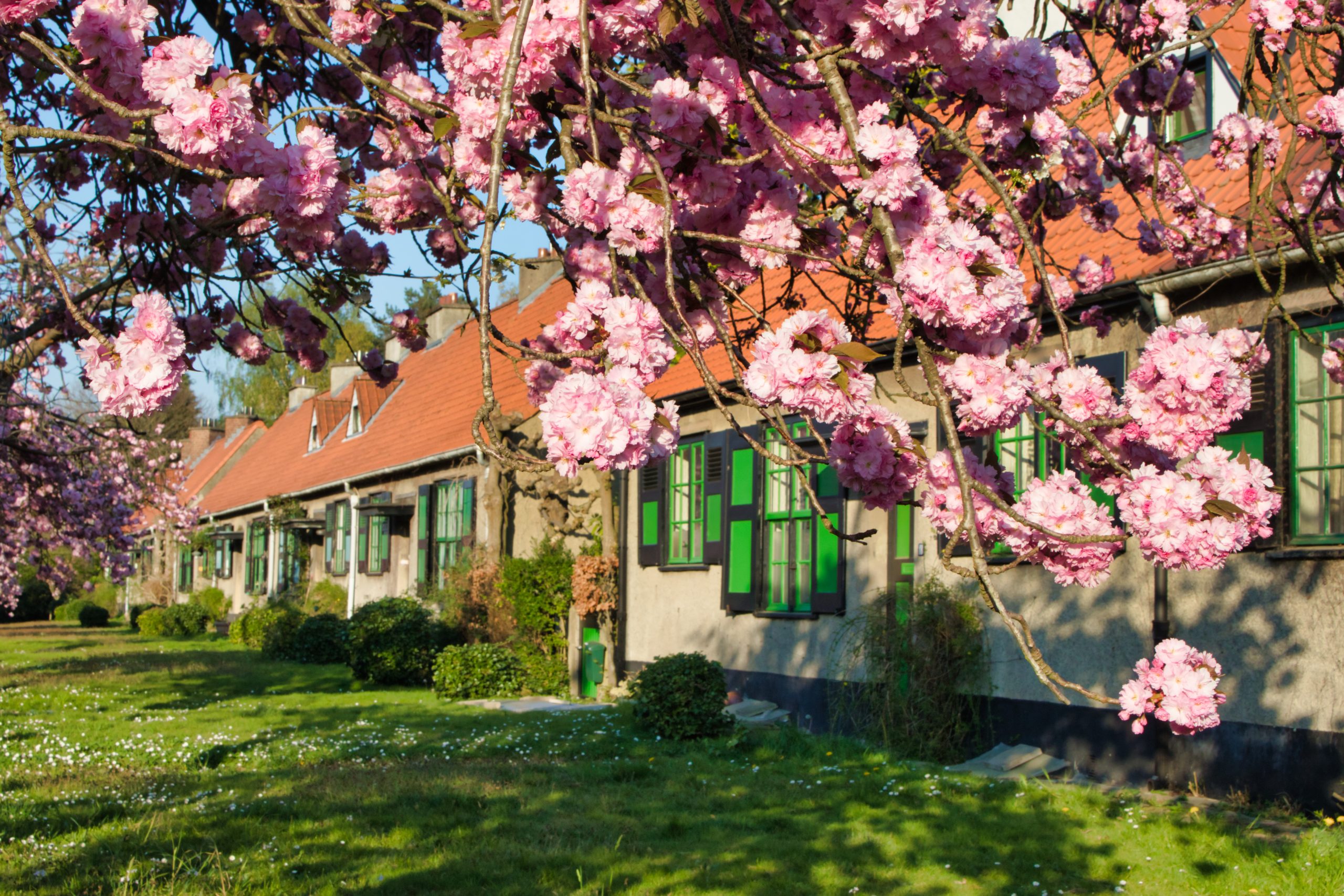 Visite des cités-jardins Le Logis et Floréal à Bruxelles