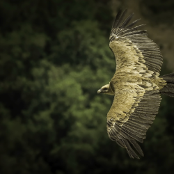 Exposition - "Un matin quelque part" à Reims