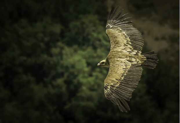 Exposition - "Un matin quelque part" à Reims