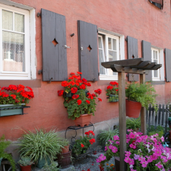 Ma cité est un jardin : Le Stockfeld