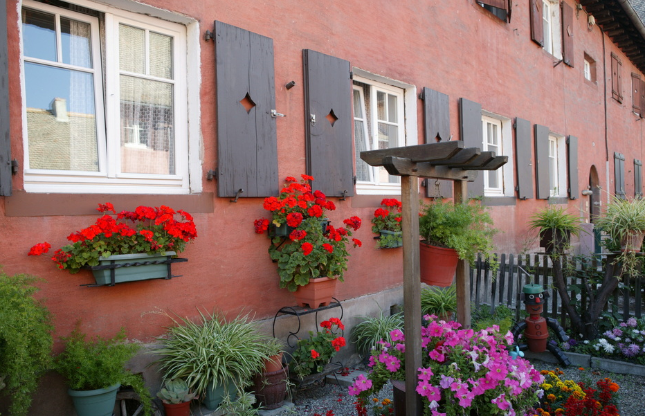 Ma cité est un jardin : Le Stockfeld