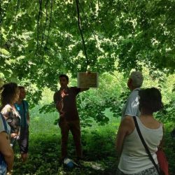 Atelier écosystème urbain à Livry-Gargan