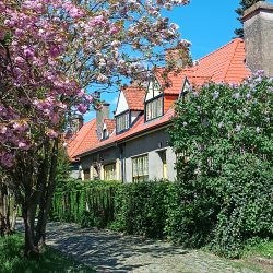 Visite guidée des cités-jardins Le Logis et Floréal à Bruxelles (Belgique)