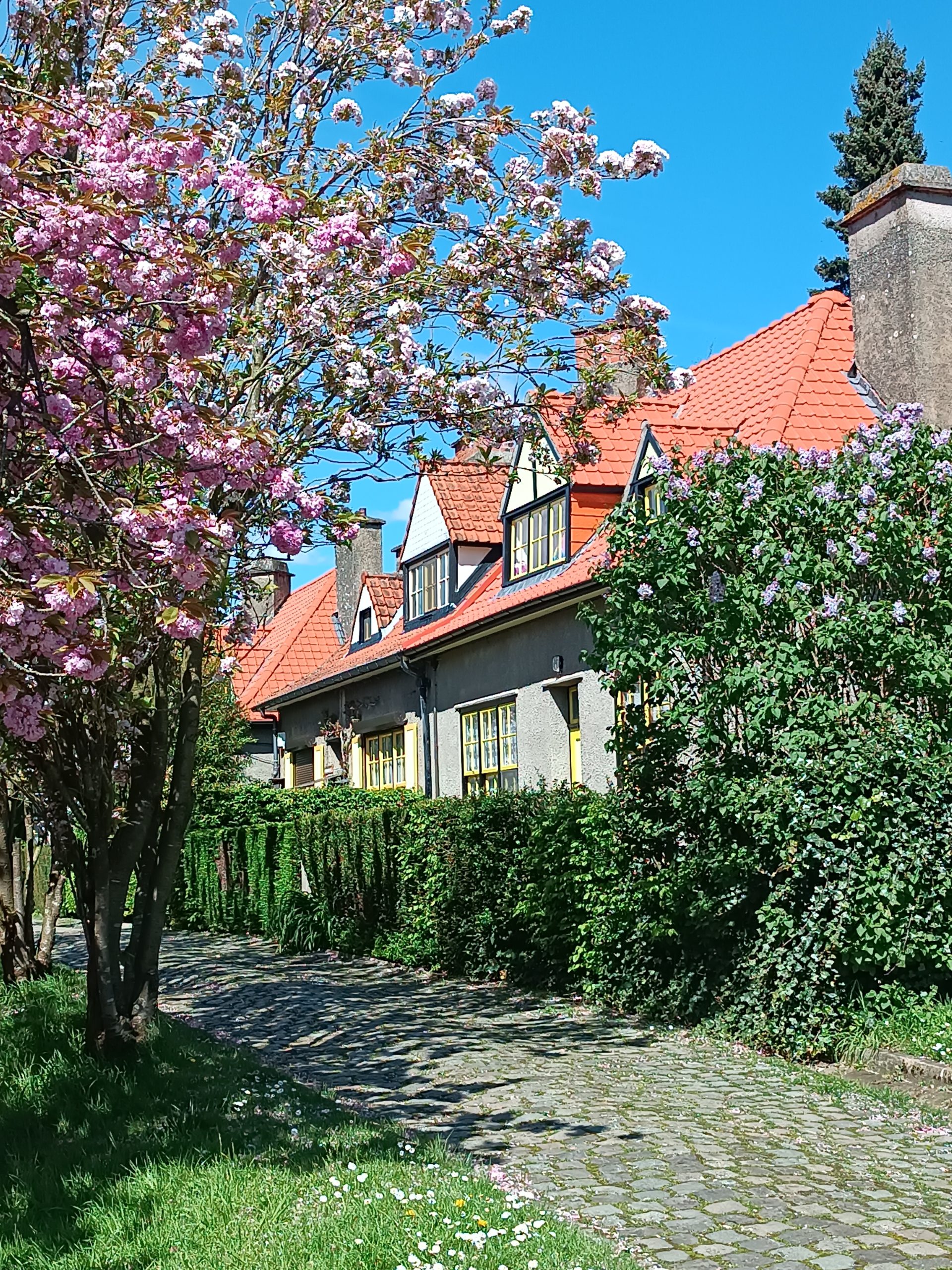 Visite guidée des cités-jardins Le Logis et Floréal à Bruxelles (Belgique)