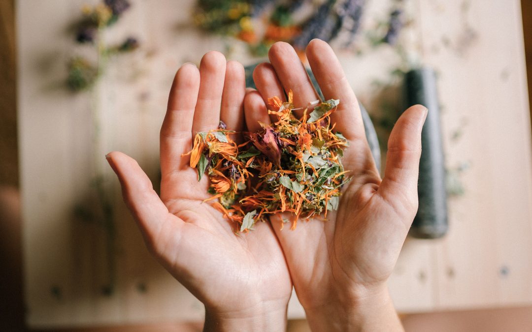 Atelier Naturopathie – Gestion émotionnelle des petits et grands en toute naturalité
