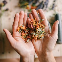 Atelier Naturopathie - Gestion émotionnelle des petits et grands en toute naturalité