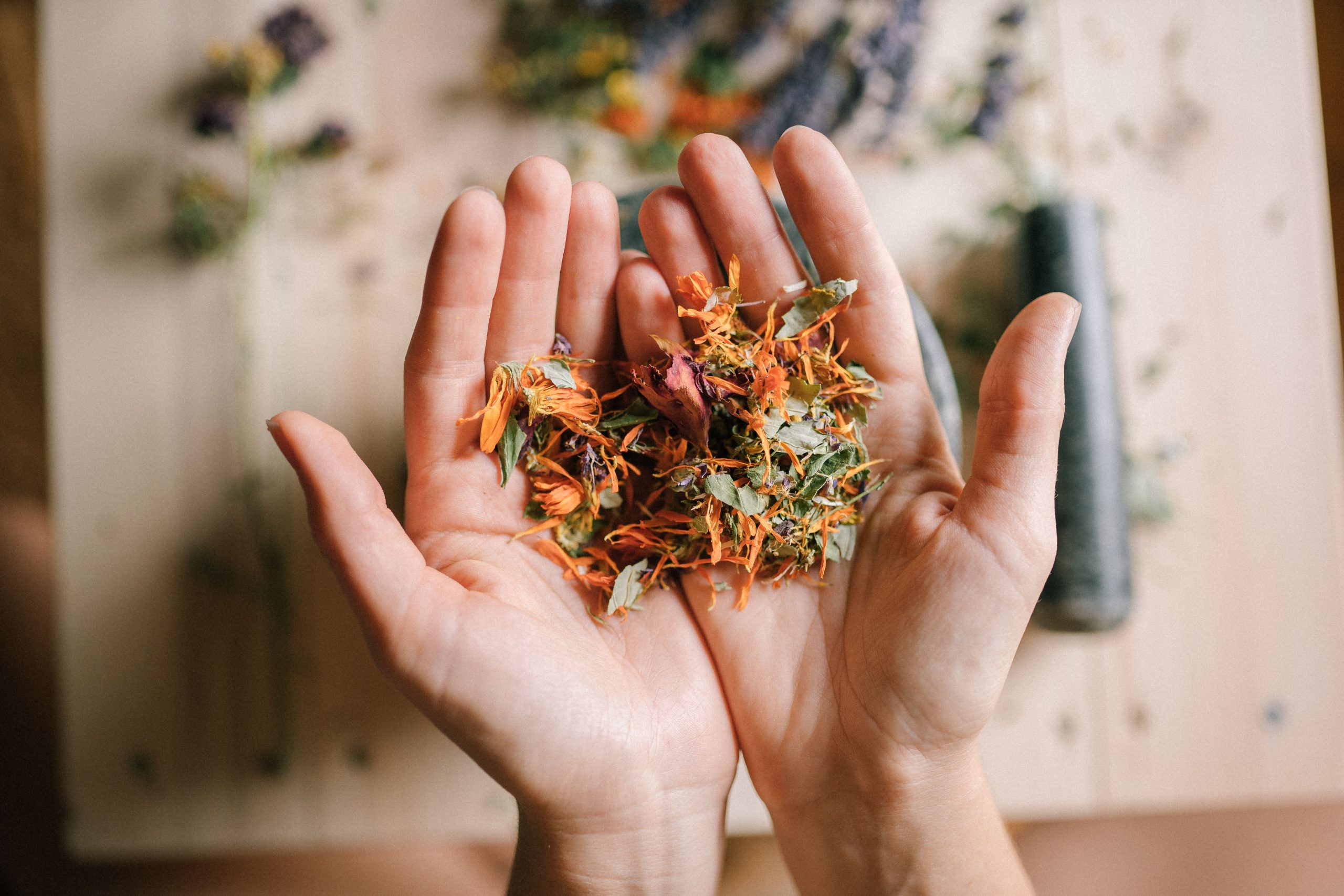 Atelier Naturopathie - Gestion émotionnelle des petits et grands en toute naturalité